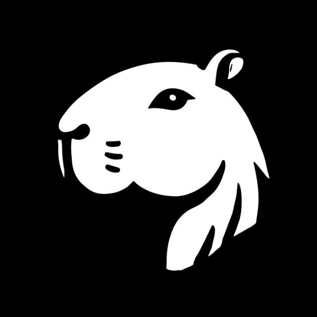 Capywear
